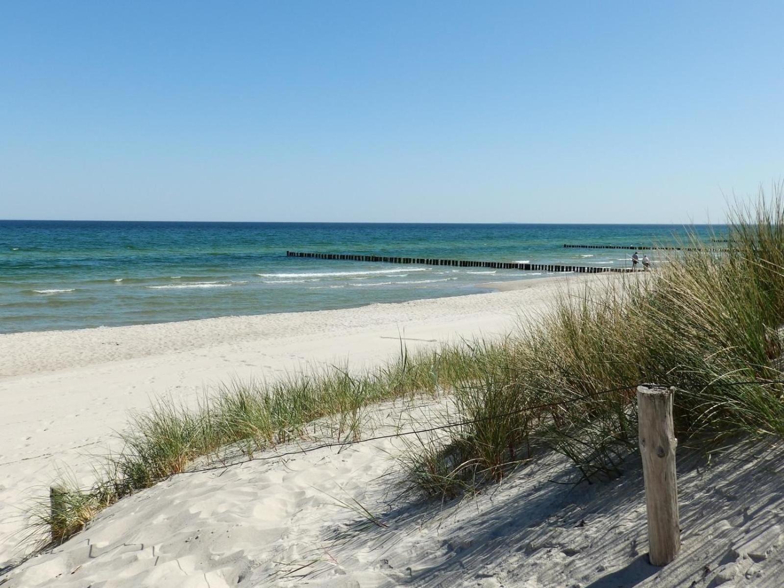 Apartmán Moewennest 02 Zingst Exteriér fotografie
